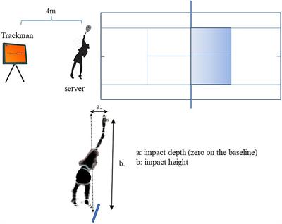 Prediction of Service Performance Based on Physical Strength in Elite Junior Tennis Players